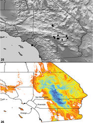 Maps 25, 26. Aptostichus killerdana sp. n. (filled square), Aptostichus serrano sp. n. (filled circles), Aptostichus chemehuevi sp. n. (filled triangles). 25 known distributions 26 predicted distribution of Aptostichus serrano; cooler colors–blue shades–represent areas of high probability of occurrence, warmer colors–yellow and orange shades–represent areas of low probability of occurrence.