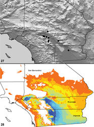 Maps 27, 28. Aptostichus aguacaliente sp. n. 27 distribution of known specimens 28 predicted distribution; cooler colors–blue shades–represent areas of high probability of occurrence, warmer colors–yellow and orange shades–represent areas of low probability of occurrence.