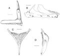 Thumbnail for version as of 16:46, 2 January 2013
