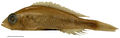 Thumbnail for version as of 16:46, 2 January 2013