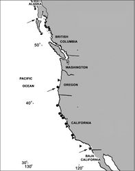 Figure 19. Map of the North American Pacific coast showing collecting localities for Cryptophyton jedsmithi sp. n. (*), Cryptophyton goddardi (●), Chromoplexaura marki (▲), and Gersemia lambi sp. n. (■). Arrows designate type localities.