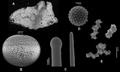 Thumbnail for version as of 10:04, 13 May 2013