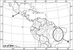 Map 1. Outline map of southern North America, Middle America and northern South America, showing generalized geographical range of species of Coarazuphium. A Coarazuphium whiteheadi, new species B Coarazuphium bezerra, cessaima, formoso, pains, tapiaguassu and tessai.