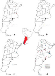 Figure 13. Geographical distribution of species of Nabidae in Argentina: a Pagasa b Metatropiphorus c Lasiomerus d Nabis.