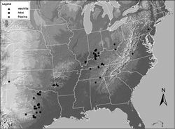 Figure 11. Distribution map for Zealeuctra fraxina, Zealeuctra hitei, and Zealeuctra wachita.