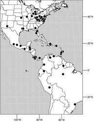 Figure 179. Distribution of Hydrochasma leucoproctum (Loew).