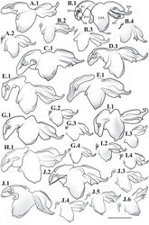 Figure 51. Liturgusa, male genital complex from the ventral perspective (scale bar = 1 mm, but all secondary illustrations 60% of scale (e.g. B.2 and B.3). Liturgusa cayennensis Saussure, 1869: A.1 French Guiana (ANSP 055) A.2 French Guiana (MNHN 074). Liturgusa lichenalis Gerstaecker, 1889: B.1 Peru (CAS 005) B.2 Peru (CLEV GSMC000259) B.3 Peru (CAS 010) B.4 Peru (MEKRB 010). Liturgusa guyanensis La Greca, 1939: C.1 Guyana (CAS 017). Liturgusa bororum sp. n.: D.1 Holotype from Peru (MNHN 038). Liturgusa cura sp. n.: E.1 Holotype from Venezuela (ANSP 082). Liturgusa fossetti sp. n.: F.1 Paratype from Panama (CAS 020). Liturgusa kirtlandi sp. n.: G.1 Paratype from Bolivia (CLEV GSMC000276) G.2 Paratype from Bolivia (CLEV GSMC000279) G.3 Paratype from Bolivia (CLEV GSMC000283) G.4 Paratype from Bolivia (CLEV GSMC000282). Liturgusa manausensis sp. n.: H.1 Holotype from Brazil (USNM 001). Liturgusa maya Saussure & Zehntner, 1894: I.1 Colombia (AMNH 011) I.2 Peru (ANSP 038) I.3 Venezuela (AMNH 023) I.4 Guatemala (USNM 014). Liturgusa tessae sp. n.: J.1 Paratype from Bolivia (CLEV GSMC000268) J.2 Paratype from Brazil (ZMHB 004) J.3 Paratype from Brazil (USNM 007) J.4 Paratype from Brazil (MNHN 086) J.5 Paratype from Brazil (ANSP 110); J.6 Paratype from Brazil (ANSP 109).