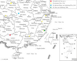 Figure 20. Distribution map of Megischus species from China (map of China from: http://bzdt.ch.mnr.gov.cn/).