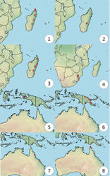 Figures 1–8. Distribution of Dichoteleas species 1D. rubyae2D. ambositrae3D. striatus4D. hamatus5D. fulgidus6D. fuscus7D. rugosus8D. subcoeruleus.