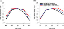 Figure 10. Plots of mean upper (a) and lower (b) relative post-canine tooth size. Relative tooth size is computed by dividing the mesio-distal length of each tooth by the length of the 3rd premolar (which is typically largest) in the same row.