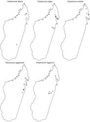 Figure 61. Geographic distribution maps for the species of the Tetramorium naganum species group. Star symbols represent type localities while circles represent non-type localities.