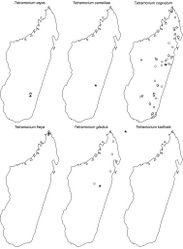Figure 63. Geographic distribution maps for the species of the Tetramorium cognatum species complex I. Star symbols represent type localities while circles represent non-type localities. Note that Tetramorium karthala is endemic to the island of Grand Comore and not found on Madagascar.