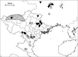 Figure 43. Distribution of Gudeodiscus Páll-Gergely, 2013 species. Legends: filled triangle, top down: typical Gudeodiscus (Gudeodiscus) phlyarius (Mabille, 1887), filled triangle, top up: “Gudeodiscus phlyarius werneri Páll-Gergely, 2013” (synonym of phlyarius); empty triangle, top up: Gudeodiscus (Gudeodiscus) phlyarius populations showing transitional characters towards werneri in terms of shell shape; empty triangle, top down: atypical Gudeodiscus (Gudeodiscus) phlyarius; empty circle: Gudeodiscus messageri raheemi ssp. n., filled circle: Gudeodiscus (Gudeodiscus?) hemmeni sp. n. (in all localities it co-occurs with Gudeodiscus (Gudeodiscus) messageri raheemi ssp. n.); circle with filled triangle in the middle: co-occurrence of Gudeodiscus (Gudeodiscus) messageri raheemi ssp. n. and atypical Gudeodiscus (Gudeodiscus) phlyarius. The shaded area indicates the area inhabited by Gudeodiscus (Gudeodiscus) messageri messageri (Gude, 1909) and “anterides”, “fallax” and “gouldingi”-like populations of Gudeodiscus (Gudeodiscus) phlyarius. Filled square indicates the position of Phong-Tho, the type locality of Plectopylis verecunda Gude, 1909 (synonym of Gudeodiscus phlyarius). Numbers 1–3 refer to atypical populations assigned to Gudeodiscus (Gudeodiscus) phlyarius. For explanation, see text.