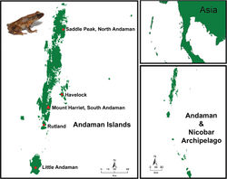 Figure 4. Map showing distribution of Blythophryne beryet gen. et sp. n. in the Andaman Islands, Bay of Bengal, India. Holotype collected from Mt Harriet (indicated with a red triangle).