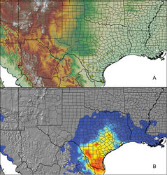 Figure 14. Aphonopelma anax (Chamberlin, 1940). A distribution of known specimens B predicted distribution; warmer colors (red, orange, yellow) represent areas of high probability of occurrence, cooler colors (blue shades) represent areas of low probability of occurrence.