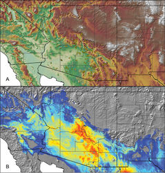 Figure 35. Aphonopelma chalcodes Chamberlin, 1940. A distribution of known specimens B predicted distribution; warmer colors (red, orange, yellow) represent areas of high probability of occurrence, cooler colors (blue shades) represent areas of low probability of occurrence.