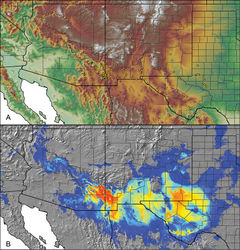 Figure 49. Aphonopelma gabeli Smith, 1995. A distribution of known specimens B predicted distribution; warmer colors (red, orange, yellow) represent areas of high probability of occurrence, cooler colors (blue shades) represent areas of low probability of occurrence.