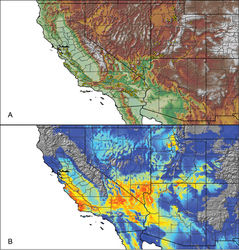 Figure 67. Aphonopelma iodius (Chamberlin & Ivie, 1939). A distribution of known specimens B predicted distribution; warmer colors (red, orange, yellow) represent areas of high probability of occurrence, cooler colors (blue shades) represent areas of low probability of occurrence.