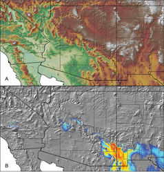 Figure 116. Aphonopelma parvum sp. n. A distribution of known specimens B predicted distribution; warmer colors (red, orange, yellow) represent areas of high probability of occurrence, cooler colors (blue shades) represent areas of low probability of occurrence.