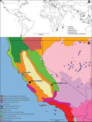 Figure 1. A Distribution of the millipede family Siphonorhinidae, and B of the genus Illacme. Terrestrial ecoregions according Olson et al. (2001)[20].