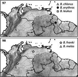 Figures 97–98. Distributions of Bidessodes species based on examined specimens and published records.