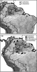 Figures 99–100. Distributions of Bidessodes species based on examined specimens and published records.