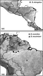 Figures 101–102. Distributions of Bidessodes species based on examined specimens and published records.