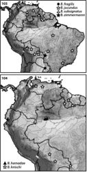 Figures 103–104. Distributions of Bidessodes species based on examined specimens and published records.