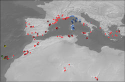 Figure 23. Meladema distribution, material examined. Symbols with black border show locations of genotyped specimens. Symbol colours as follows: M. coriacea – red; M. lepidoptera sp. n. – blue; M. imbricata – green; M. lanio – yellow. Bicoloured symbols, hybrid or morphologically intermediate individuals.