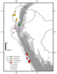 Figure 5. Distribution of Dipsas georgejetti, D. oligozonata, D. oswaldobaezi, and D. williamsi in Ecuador and Peru. Figures represent known localities.