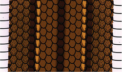 Figure 4. Diagram of coloration at level of midbody in Rhadinaeanuchalis sp. n. Based on holotype (MZFC-HE 22161).