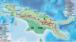 Figure 50. Map of New Guinea showing distribution of the species.