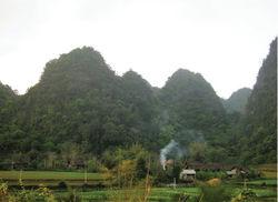 Figure 8. Habitat of Lycodon pictus sp. nov.: the female paratype (ZFMK 93746) was found in Ha Lang District, Cao Bang Province.