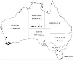 Figure 5. Collection localities of Porongurup gen. nov. Key: P. angulatus sp. nov., circles; P. clarkei sp. nov., triangle; P. tenuis sp. nov., squares.