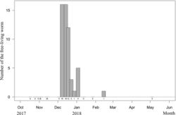 Figure 8. Seasonal occurrence of free-living adults of Gordius chiashanus sp. nov. Numbers at the bottom indicate the actual number of each bar.