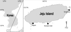 Figure 1. Map of the locus typicus (Munseom Islet) of Echinolaophonte musa sp. nov. and additional sampling localities of the species.