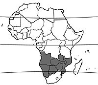 Map Colophospermum mopane.gif