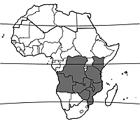 Map Brachystegia spiciformis.gif