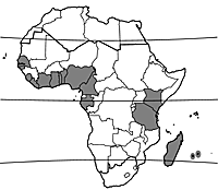 Map Trichosanthes cucumerina.gif