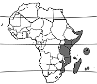 Map Cordia subcordata.gif