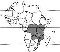 Map Croton megalocarpus.gif