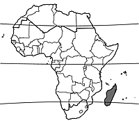 Map Cynometra madagascariensis.gif