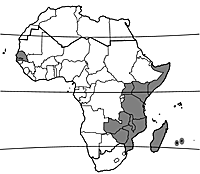 Map Tetragonia tetragonioides.gif