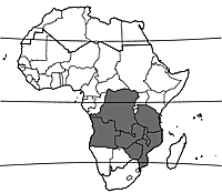 Map Brachystegia tamarindoides.gif