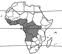 Map Telfairia occidentalis.gif