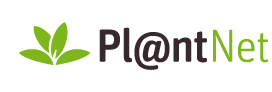 Pl@ntNet Logo