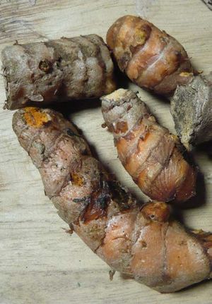 Curcuma longa rhizome TRAMIL.jpg