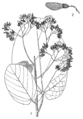 Thumbnail for version as of 10:02, 21 July 2015