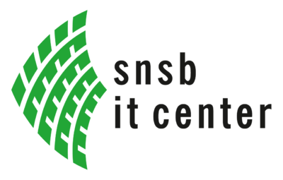 Logo snsb-it rgb.png