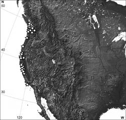 Figure 15. Distribution of Eucalantica polita (white star). Map from www.nationalatlas.gov.